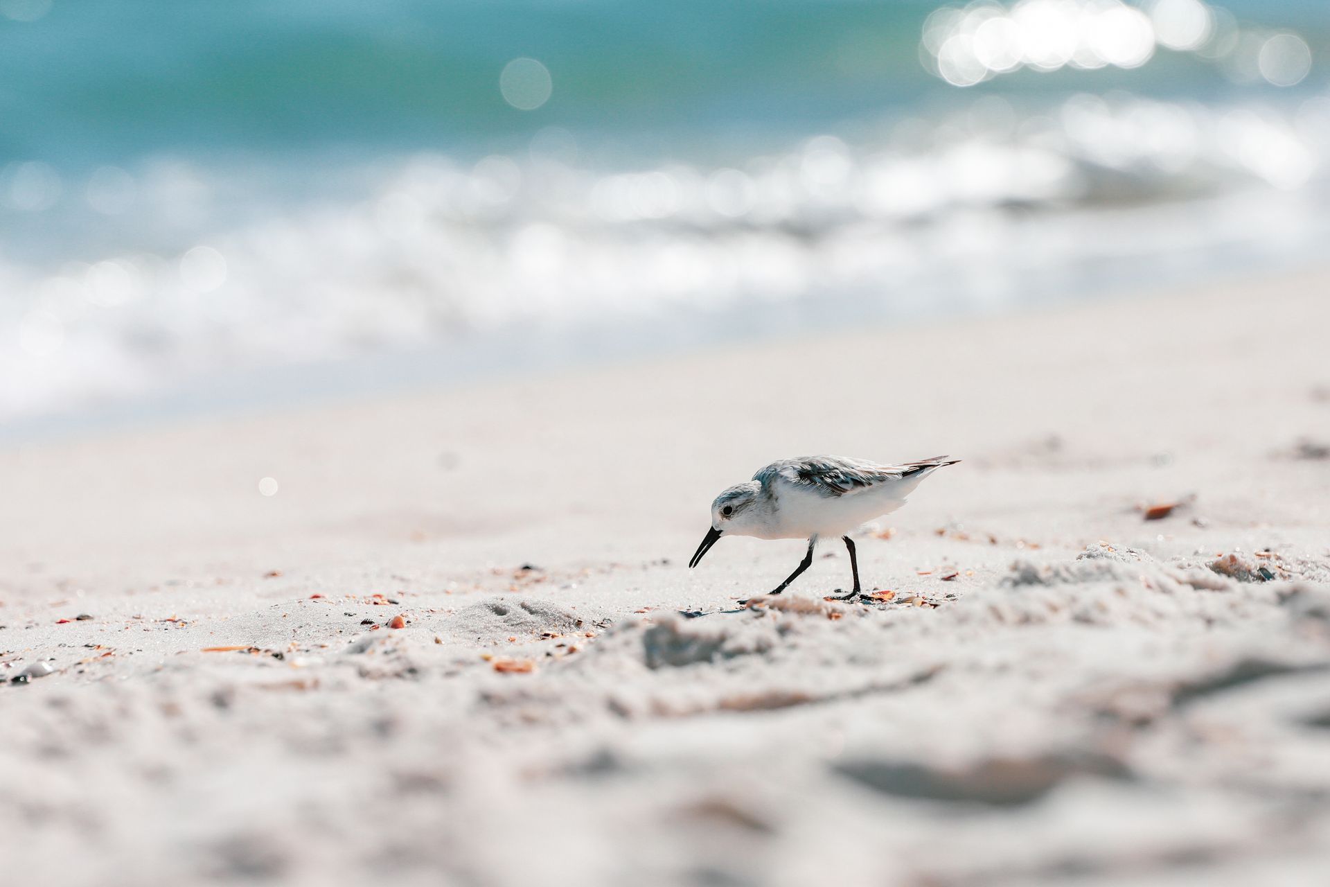 Gulf Shores Beachfront Restaurant