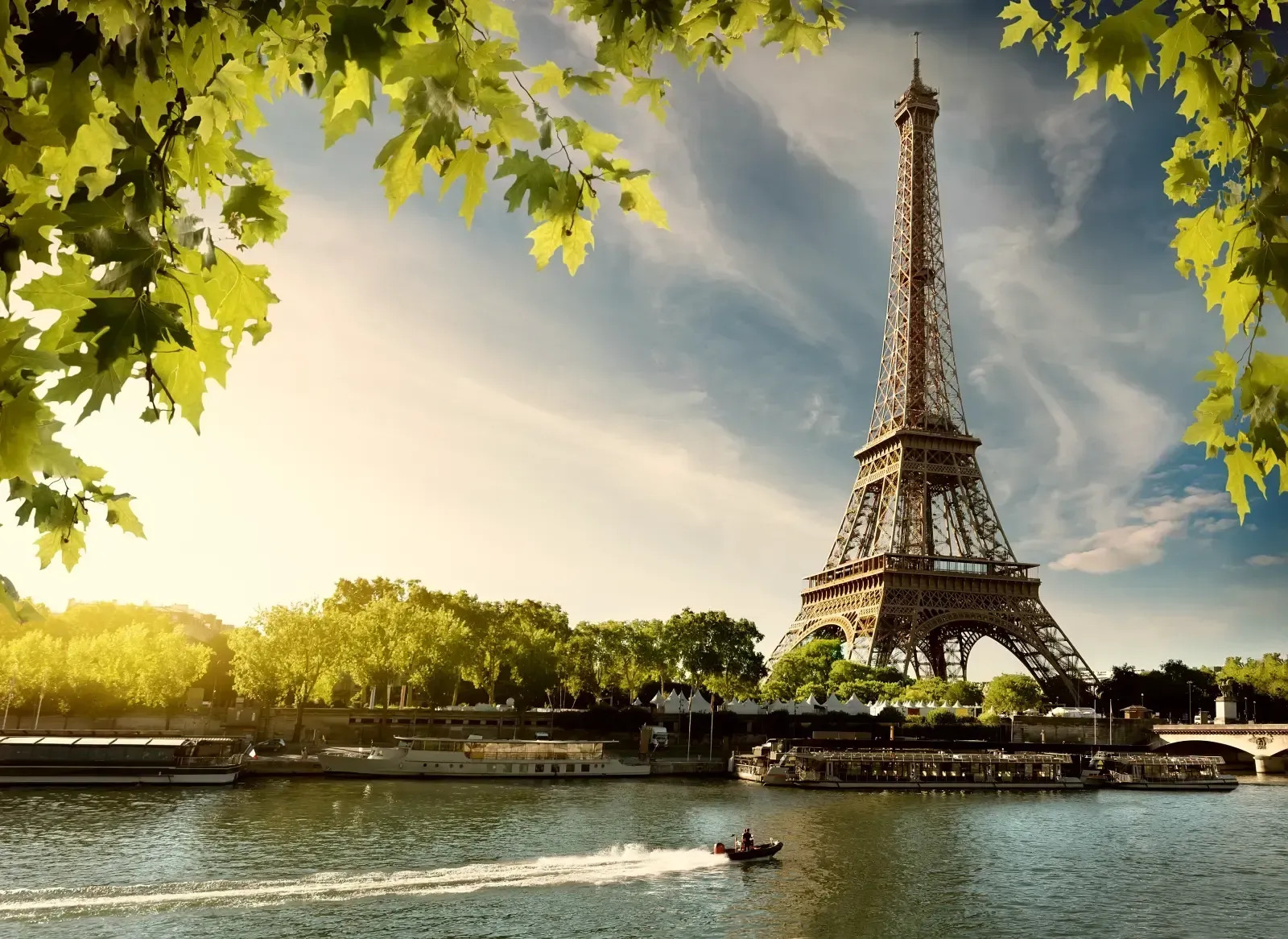 The Eiffel Tower rises above the Seine River in Paris, framed by foreground leaves under a warm, golden sunlight.