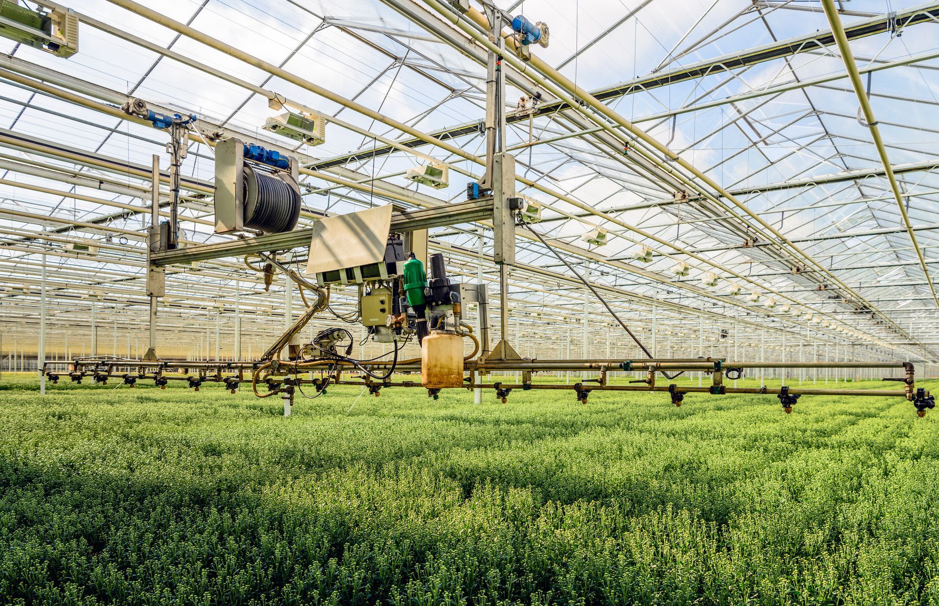 a greenhouse filled with lots of green plants