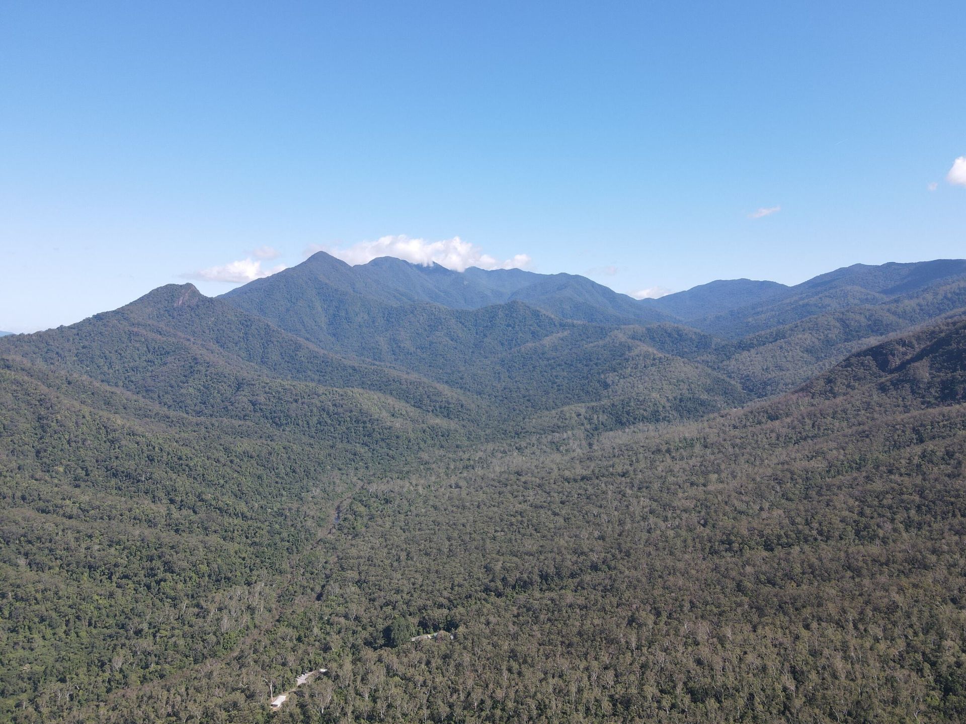 An Aerial View of a Lush Green Forest With Mountains in the Background — FNQ Hot Water In Cairns, QLD