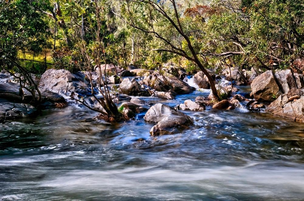 A River Flowing Through a Forest Surrounded by Rocks and Trees — FNQ Hot Water In Mareeba, QLD