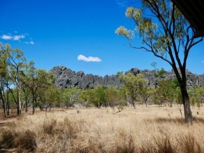 A Field With Trees and Mountains in the Background — FNQ Hot Water In Atherton, QLD