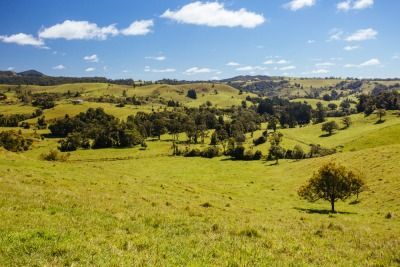 A Lush Green Field With Trees and Hills in the Background — FNQ Hot Water In Atherton, QLD
