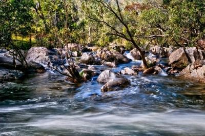A River Flowing Through a Forest Surrounded by Rocks and Trees — FNQ Hot Water In Mareeba, QLD