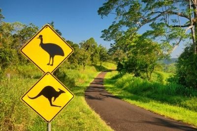 A Kangaroo and an Emu Crossing Sign on the Side of a Road — FNQ Hot Water In Atherton, QLD