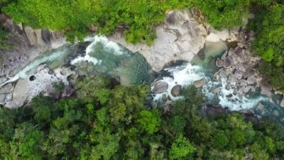 An Aerial View of a River Flowing Through a Lush Green Forest — FNQ Hot Water In Cairns, QLD
