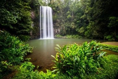 A Waterfall in the Middle of a Lush Green Forest — FNQ Hot Water In Atherton, QLD