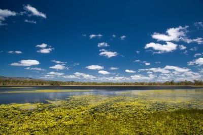A Large Body of Water Surrounded by Grass and Trees With a Blue Sky — FNQ Hot Water In Mareeba, QLD
