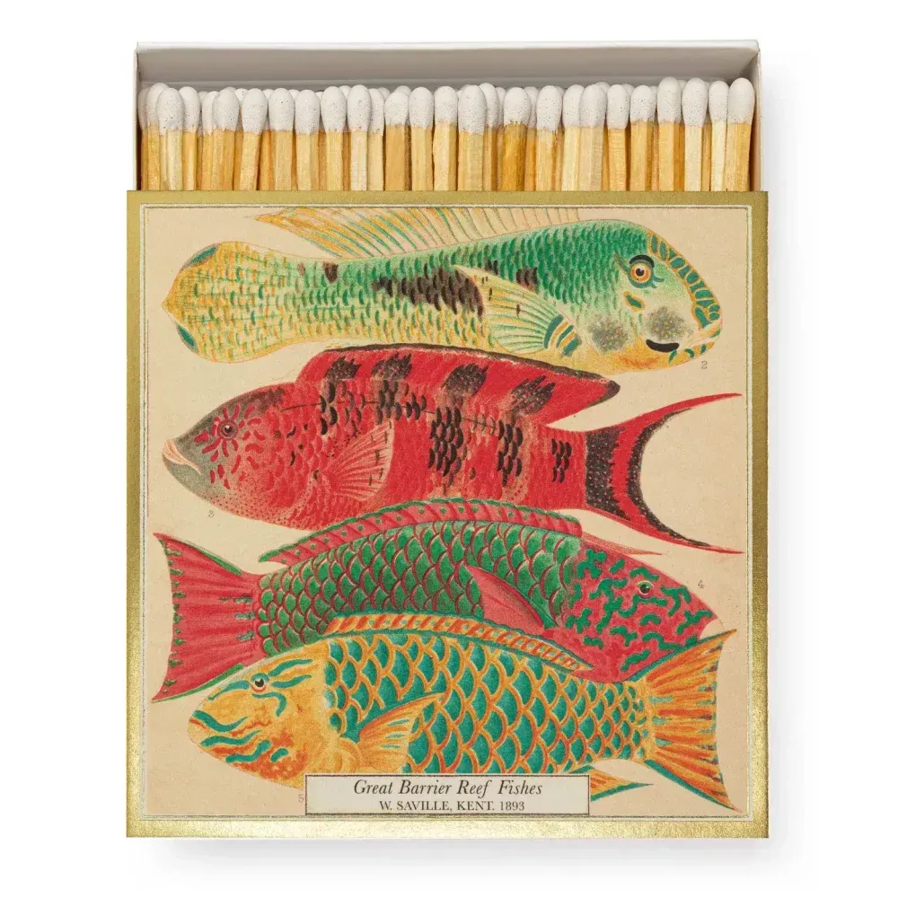 Trois illustrations de poissons colorés sur le couvercle d'une boîte décorative à fond doré