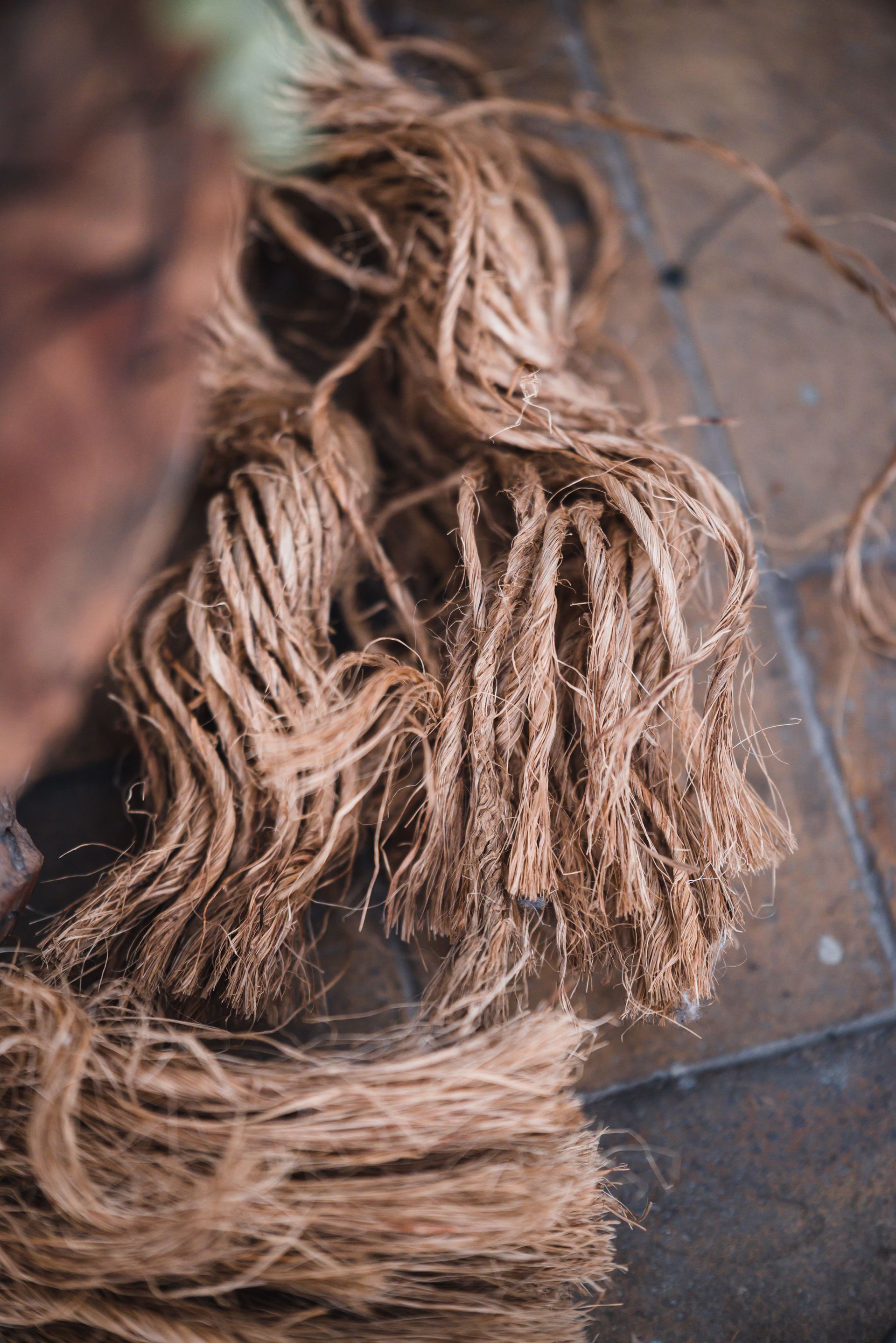 Faisceau enroulé de fibres de corde beige effilochées sur une surface sombre
