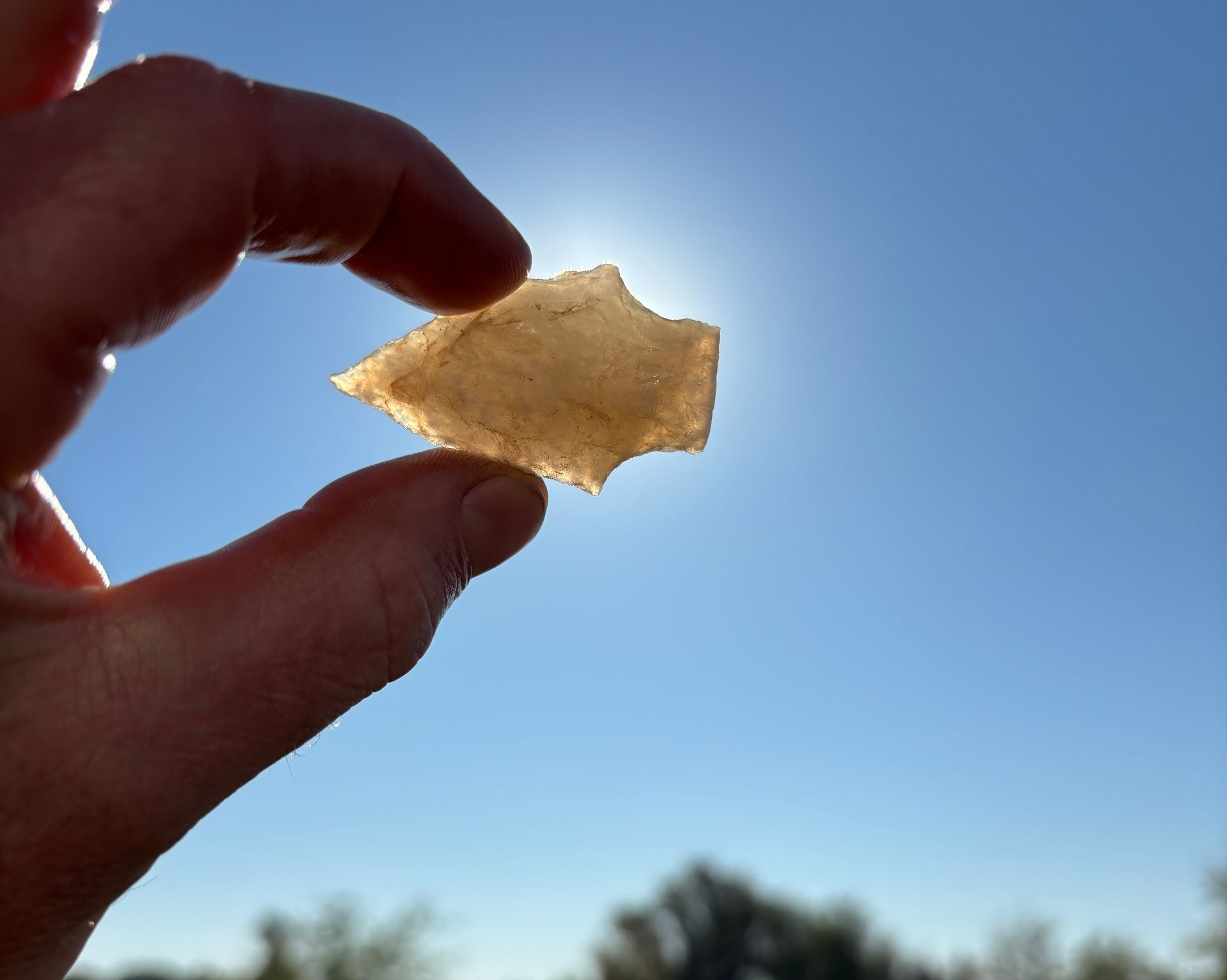 Florida Artifact Adventures find