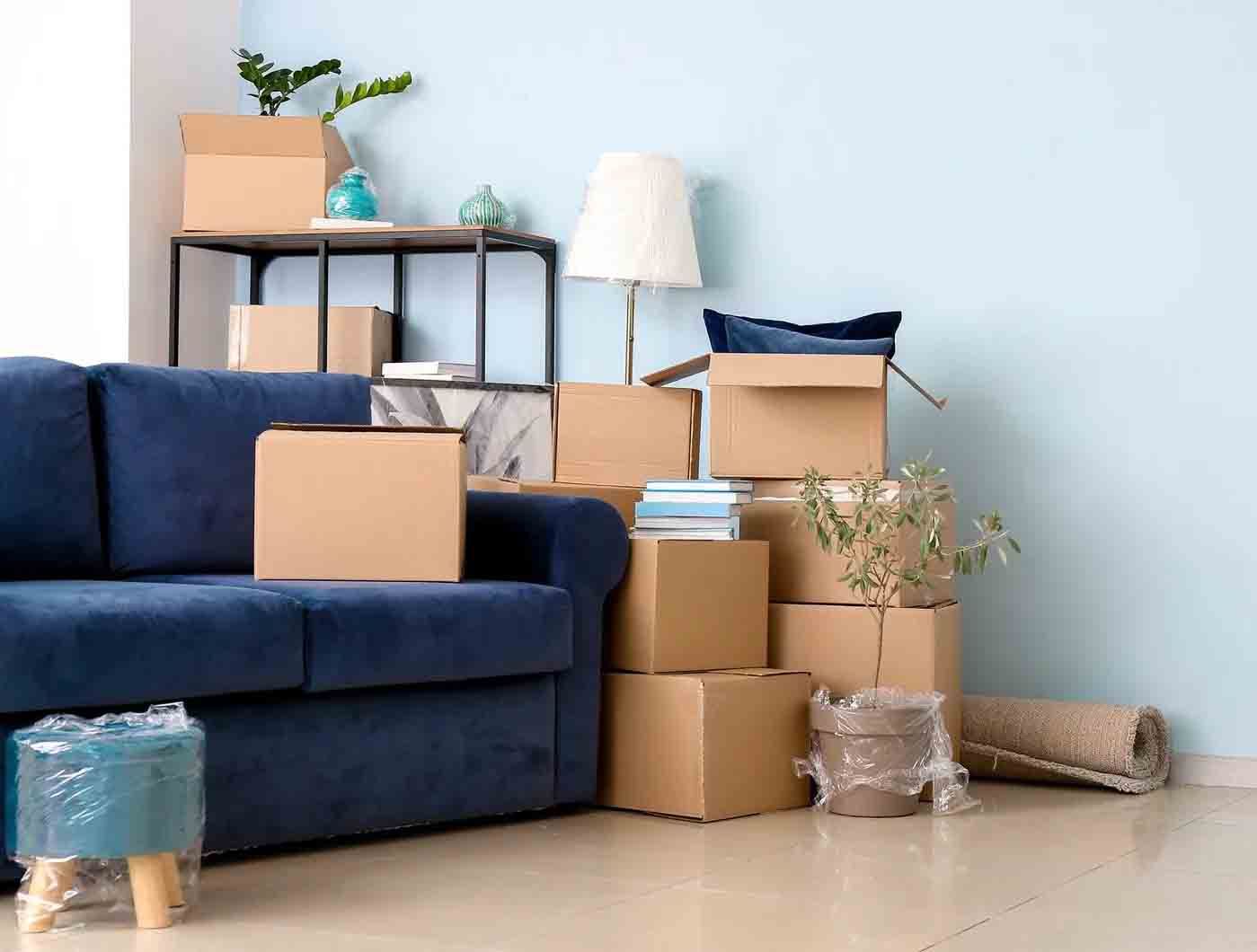 Blue sofa in a moving room with stacked cardboard boxes, lamps, and potted plants