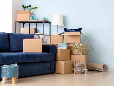 Des cartons de déménagement empilés dans un salon, à côté d'un canapé bleu et d'une lampe, avec quelques plantes en pot.