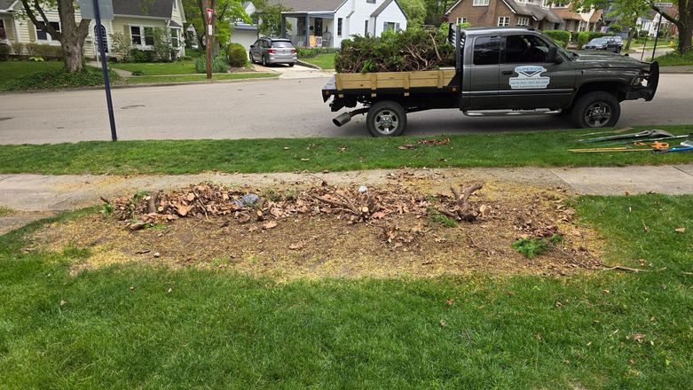 Leaf pile and grass patch by the curb in a suburban yard, with a pickup truck parked on the street.
