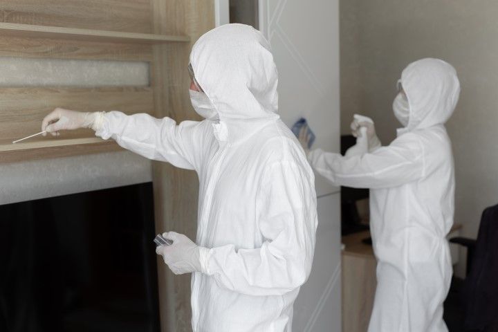 Mold Surface Sampling & Laboratory Testing Services