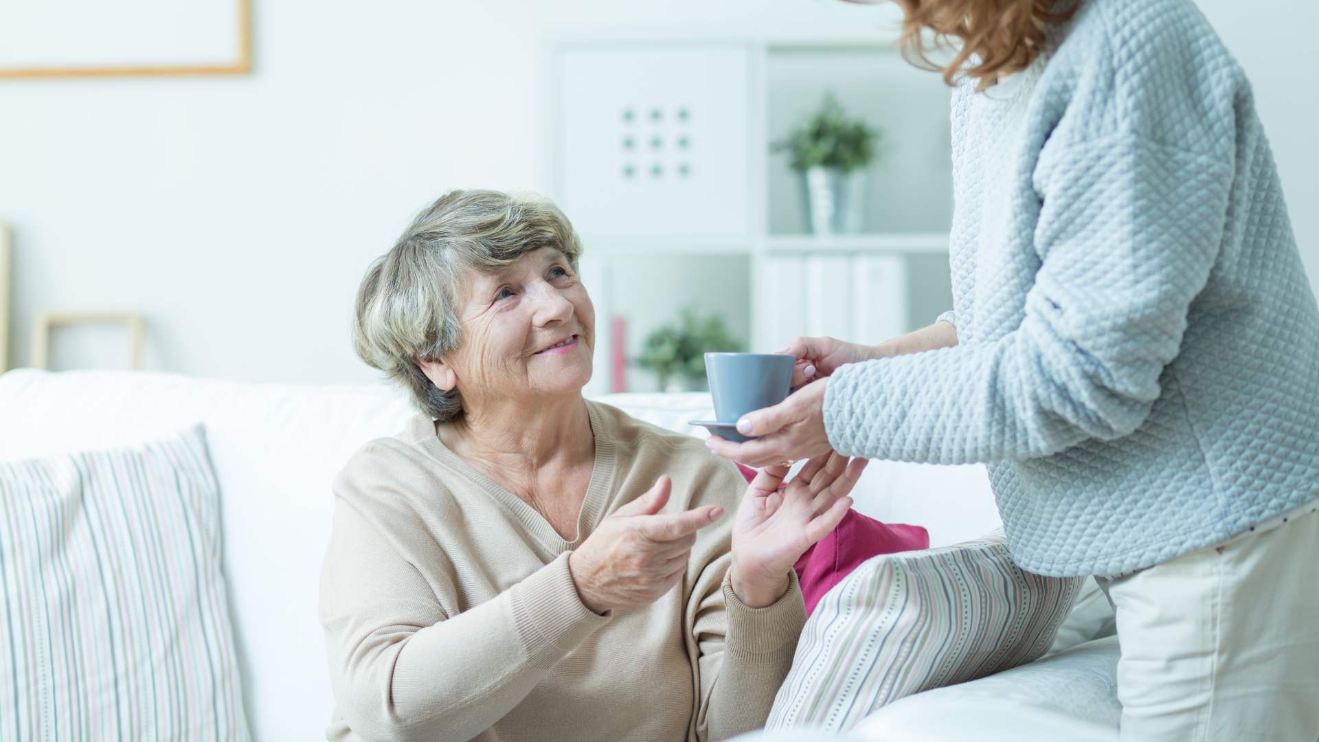 Tenderhand Home Care Services LLC