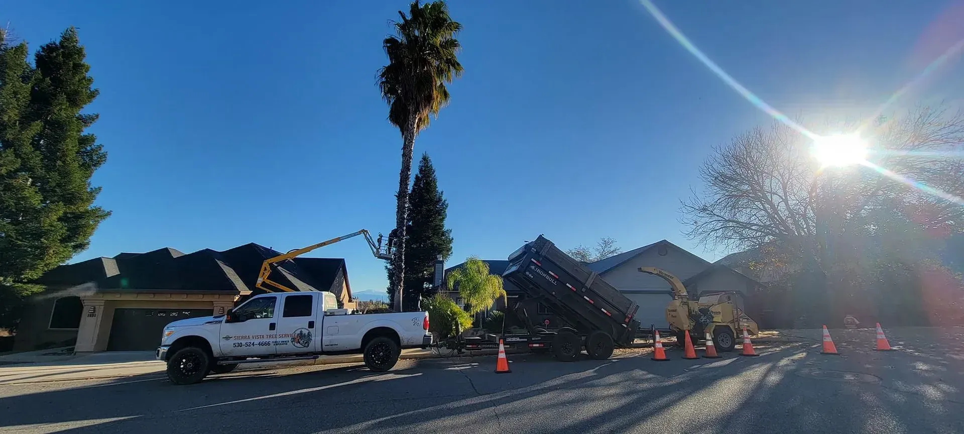 A white truck with a crane trimming a tall palm tree in a residential area on a sunny day.