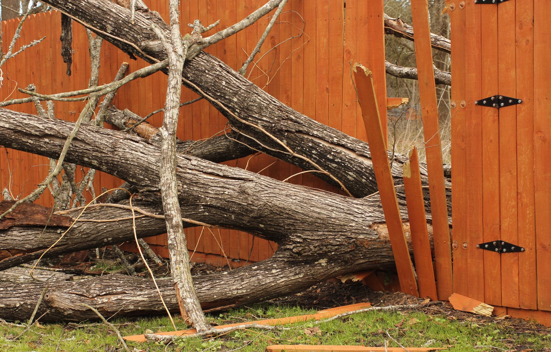Fallen tree branches on a brown wooden fence, some boards broken, green grass in foreground.
