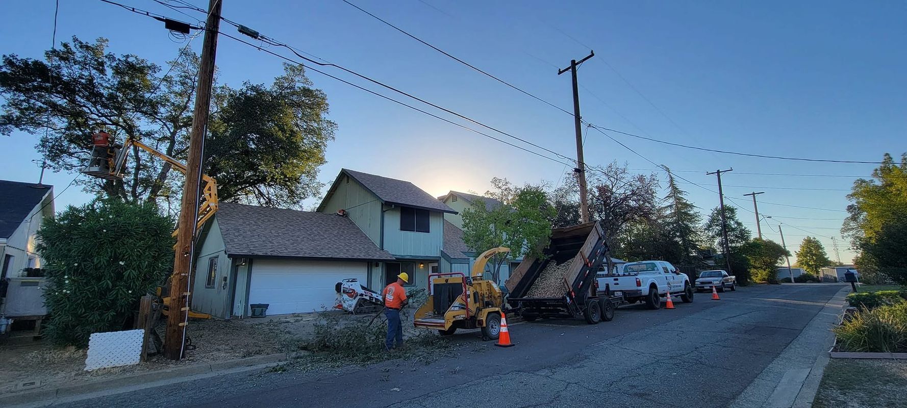 A street scene with utility poles, trees, and workers using a chipper to remove tree debris.