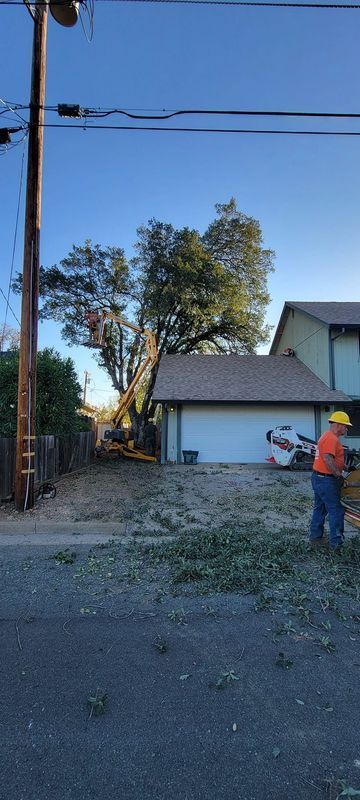 Tree being trimmed near a house. Man in orange vest and hard hat works on ground. Garage visible.