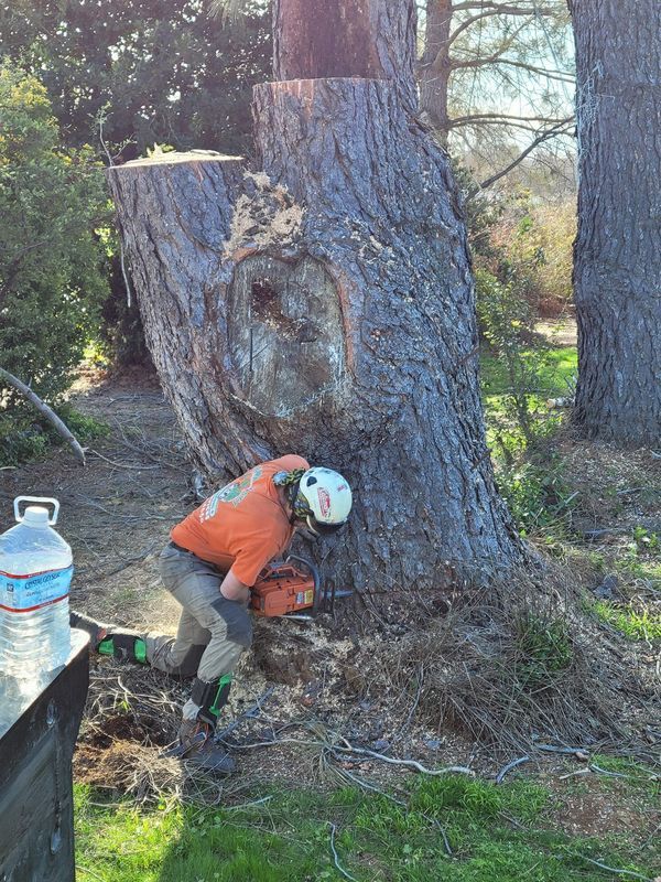 A person in safety gear cutting a large tree trunk with a chainsaw in a yard.