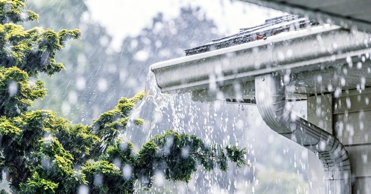 Rain pouring from a gutter into trees.