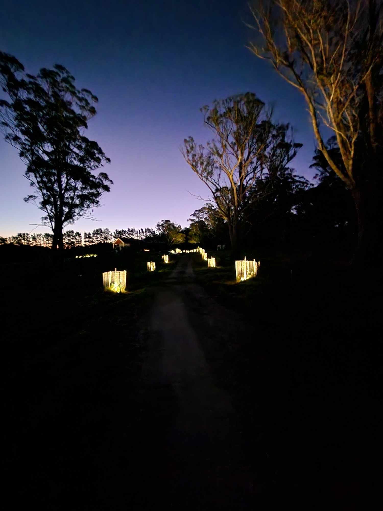 Dusk-lit garden path with glowing lanterns and silhouetted trees against a twilight sky — Technik Electrical in Mittagong, NSW