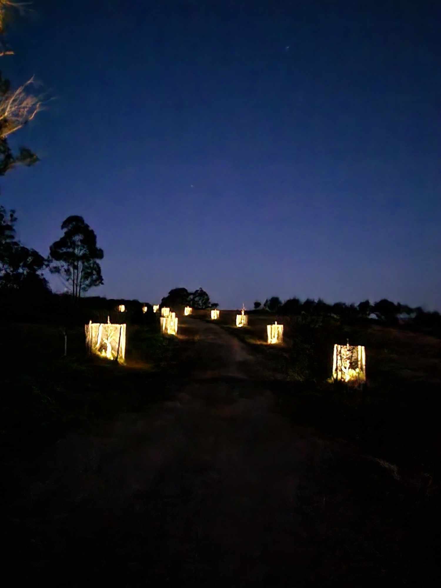 Dim road at dusk with glowing lanterns lining a path under a dark blue sky — Technik Electrical in Renwick, NSW