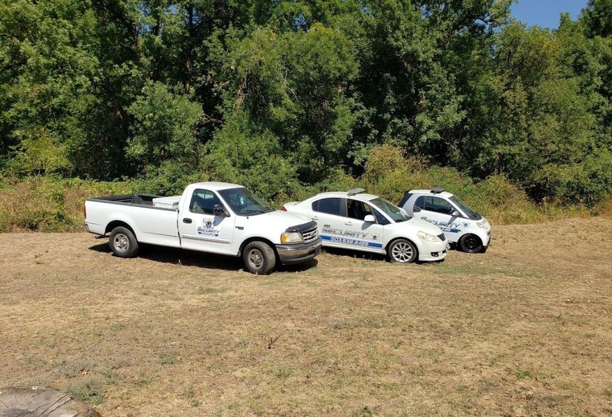 Three white vehicles parked on dry grass in front of trees