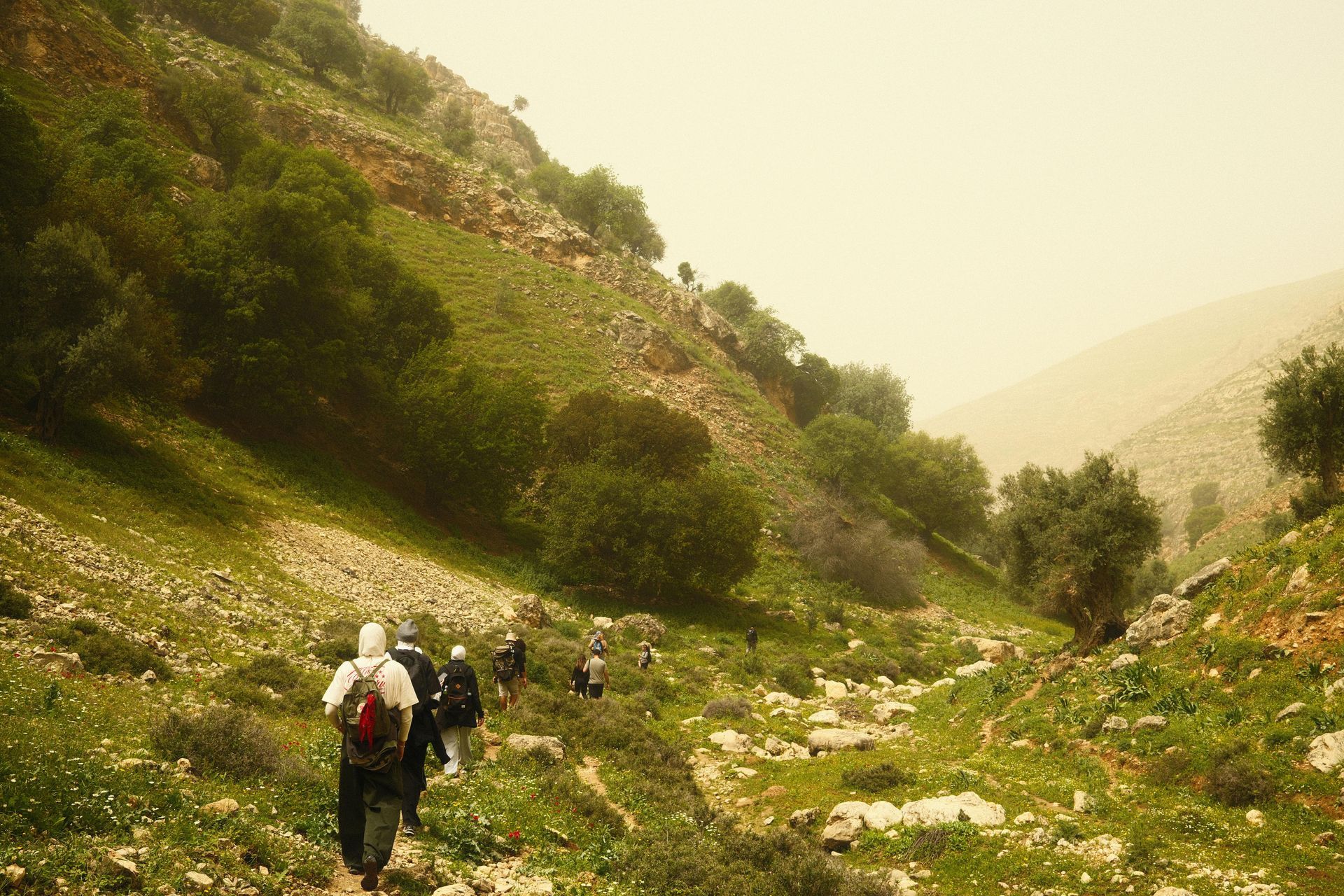Holy Land Youth Tour #3