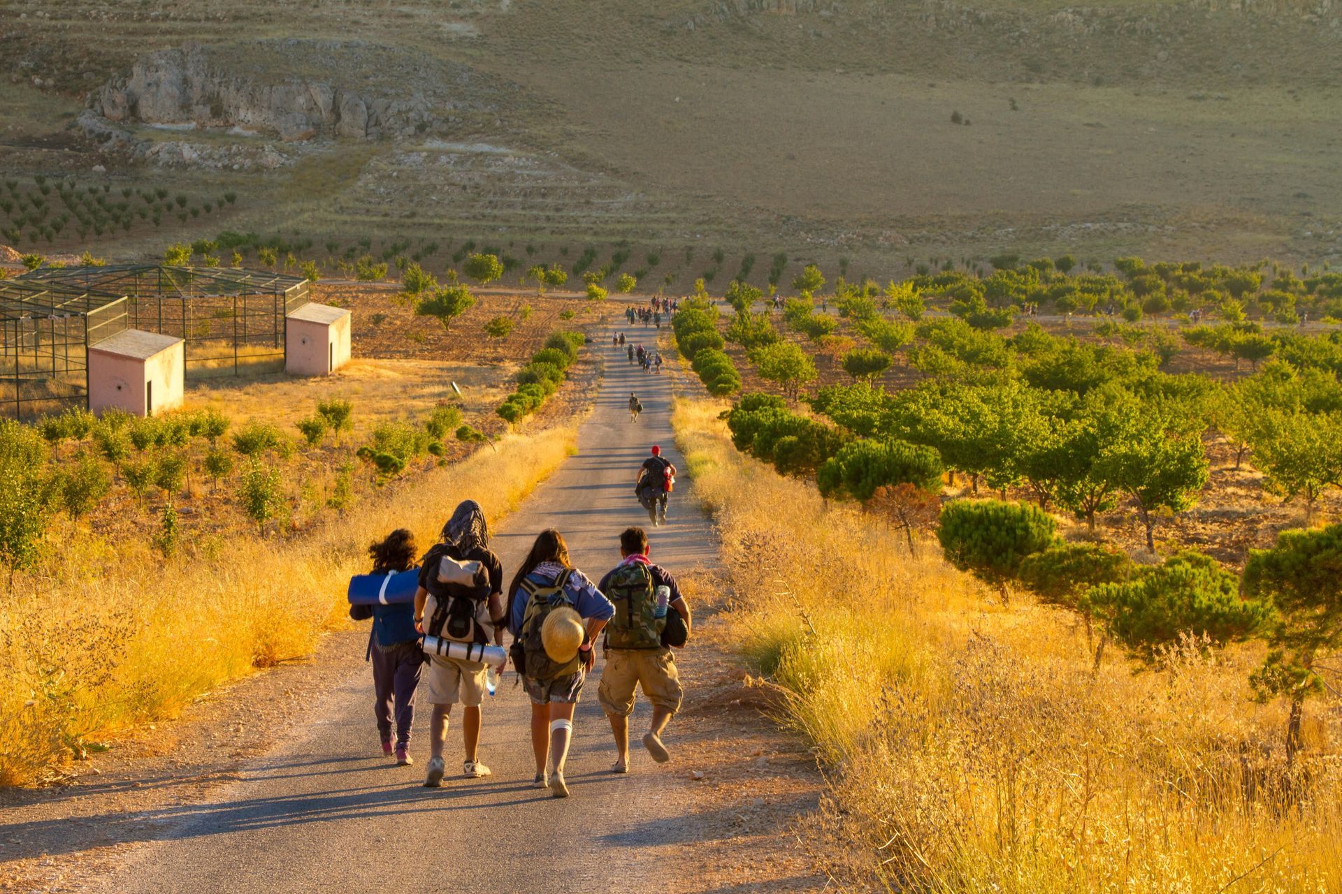 Holy Land Youth Tour #4
