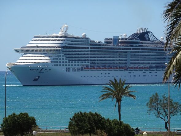 Large white cruise ship on blue ocean near palm trees and shoreline