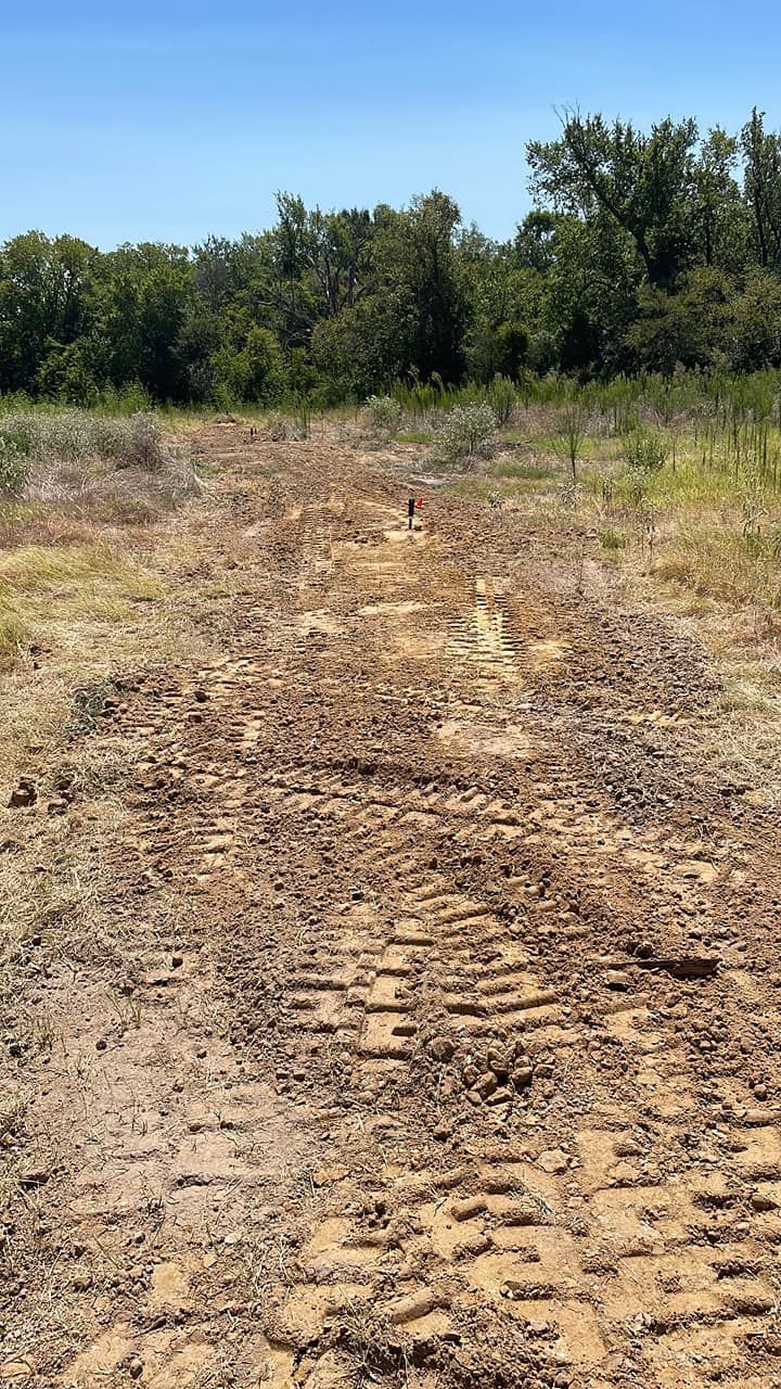 Dirt road with tire tracks leading through a grassy clearing toward trees under a blue sky