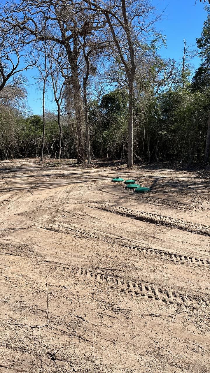 Dirt clearing with tire tracks, leafless trees, and a small green object on the ground under a blue sky