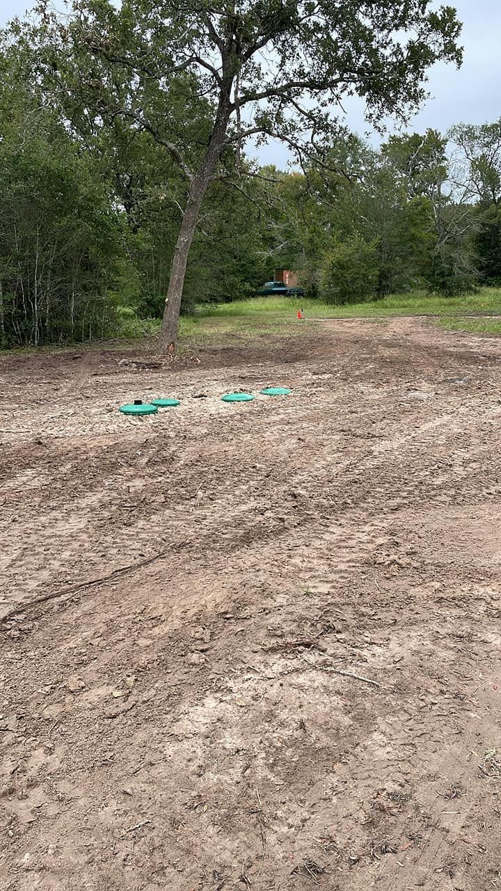 Cleared dirt lot with tire tracks, a tree, and green tarps near the ground