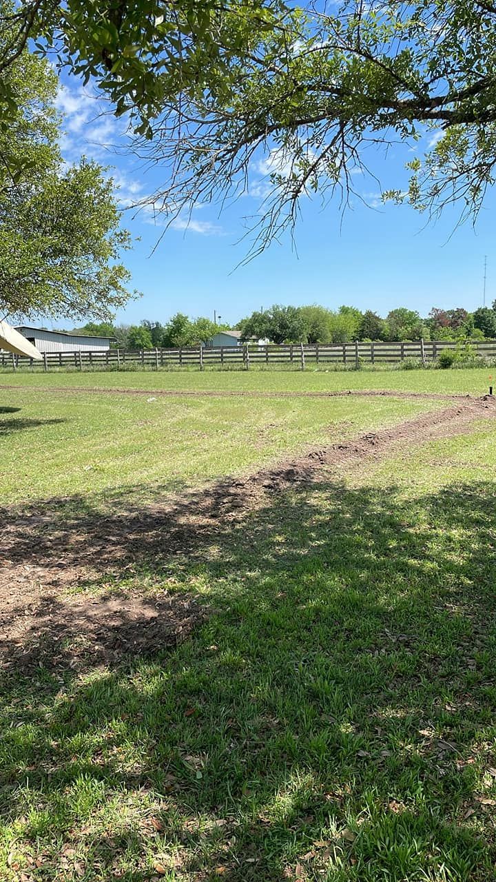 Sunny pasture with wooden fence, green grass, and trees under a blue sky