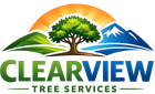 Tree Service in Florissant, MO | Clearview Tree Services Tree Service in Florissant, MO | Clearview Tree Services