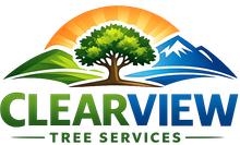 Tree Service in Florissant, MO | Clearview Tree Services Tree Service in Florissant, MO | Clearview Tree Services