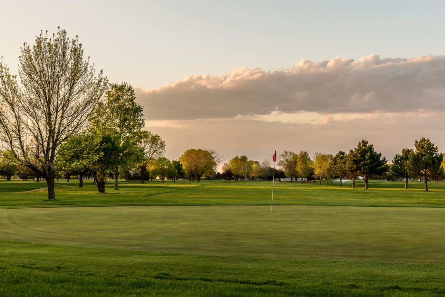 A golf course with trees and a flag in the distance.