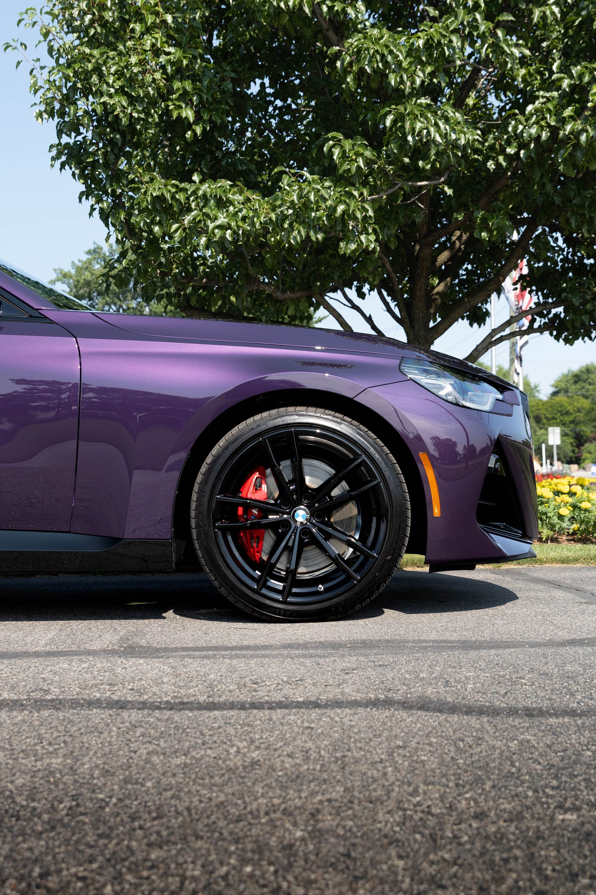Paint Protection Film Cleaning