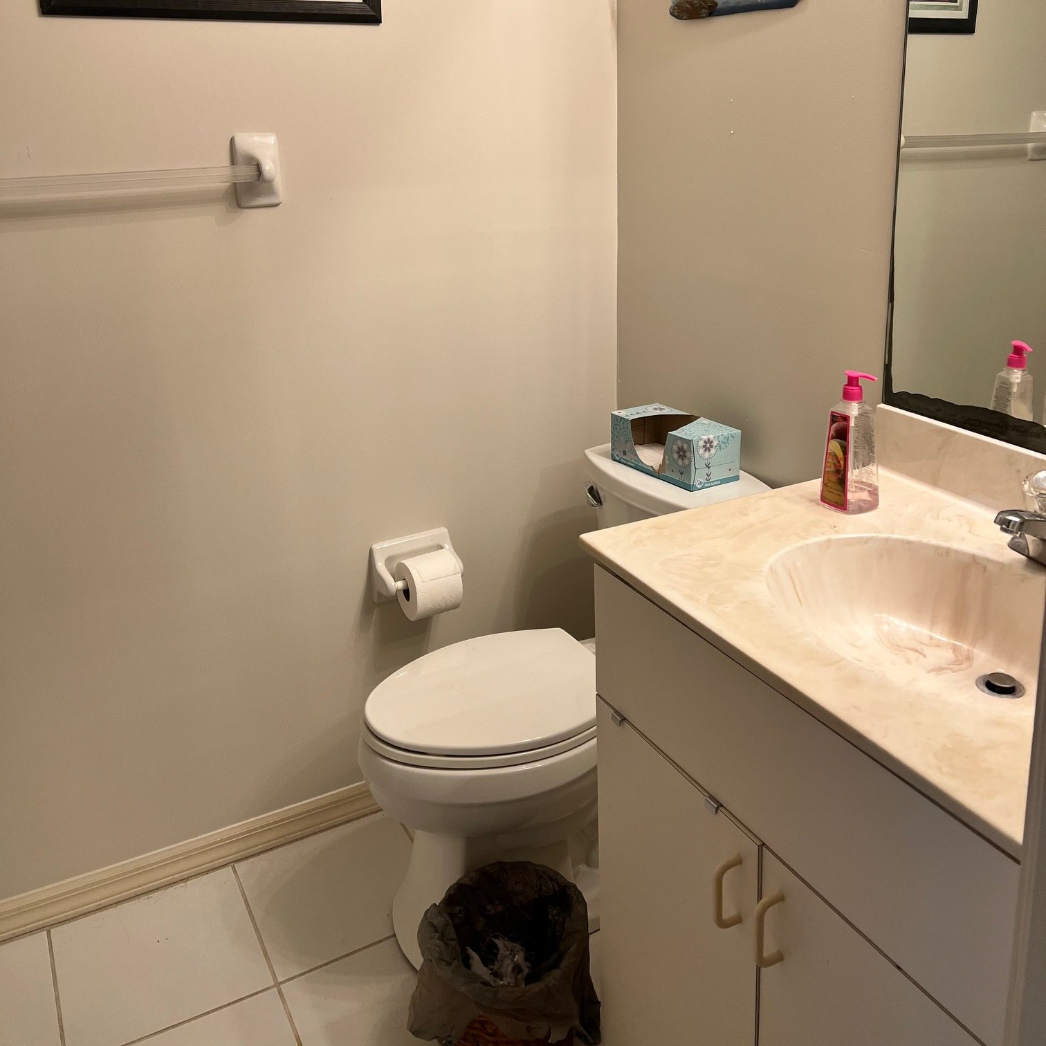 A small bathroom with a toilet, sink, and cabinet. A roll of toilet paper is mounted above the toilet.