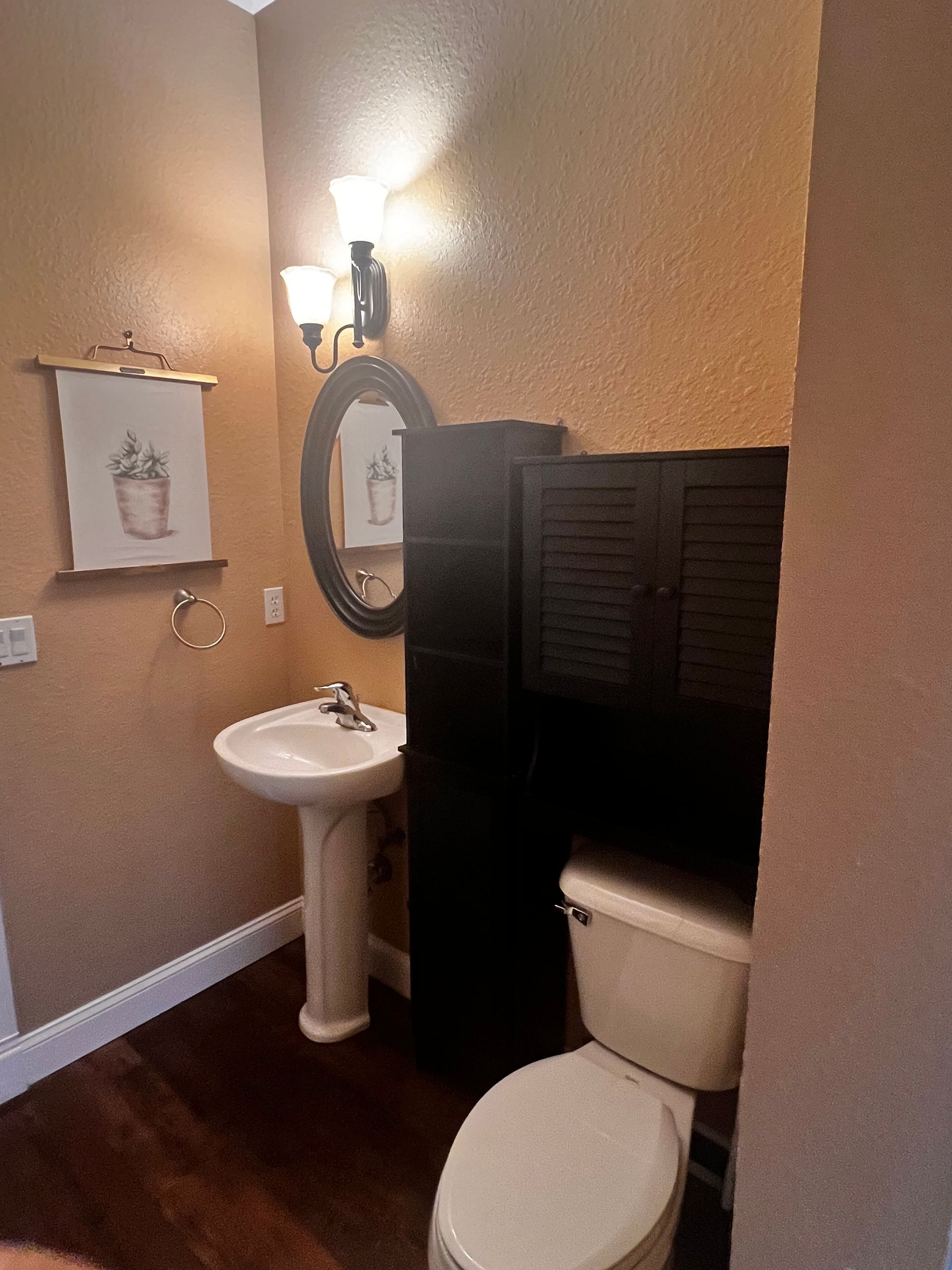 Small bathroom with white pedestal sink, toilet, dark wood floor and wall, and mirror.