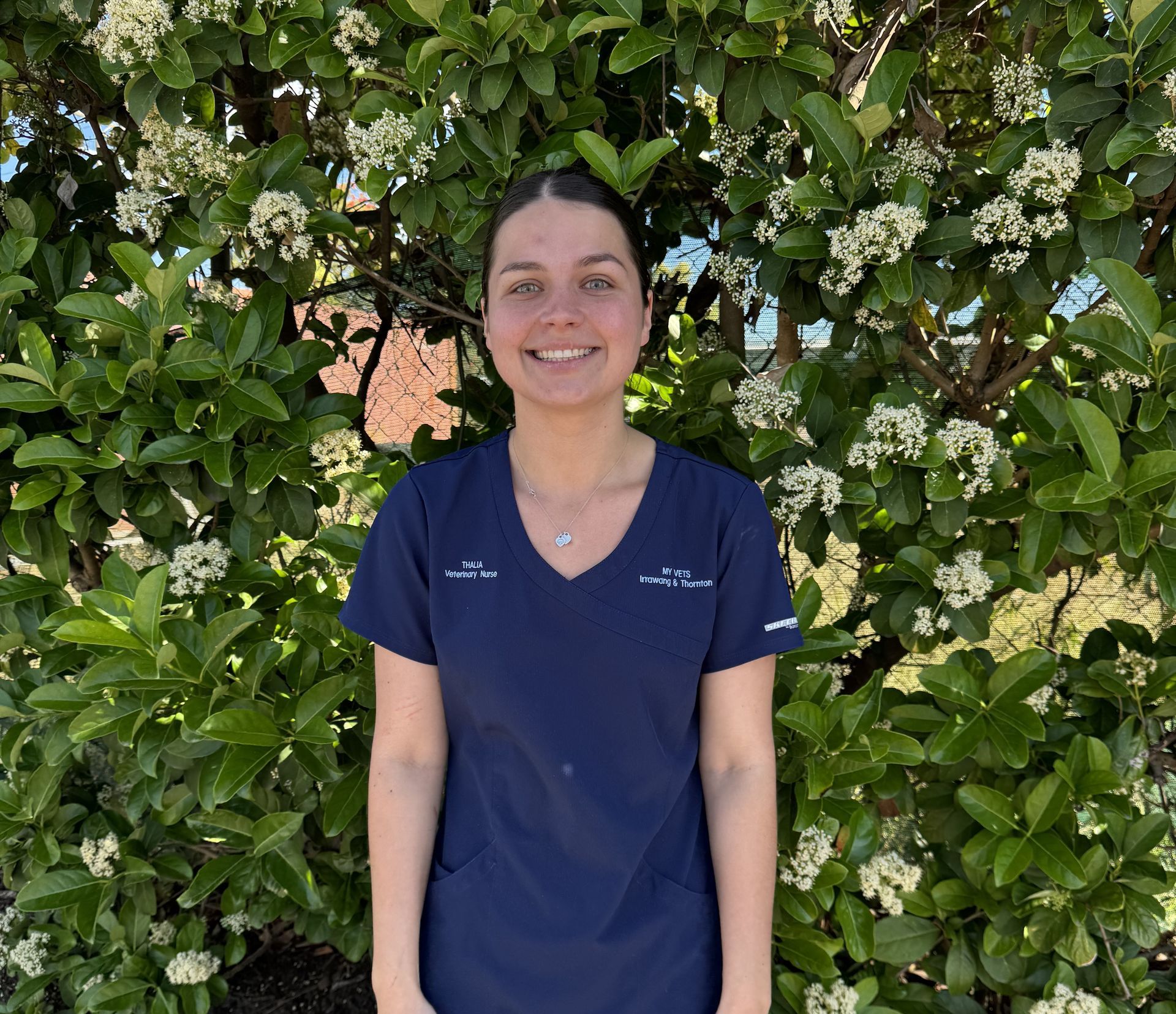 Thalia — Raymond Terrace, NSW — My Vets