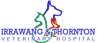 My Vets Irrawang & Thornton