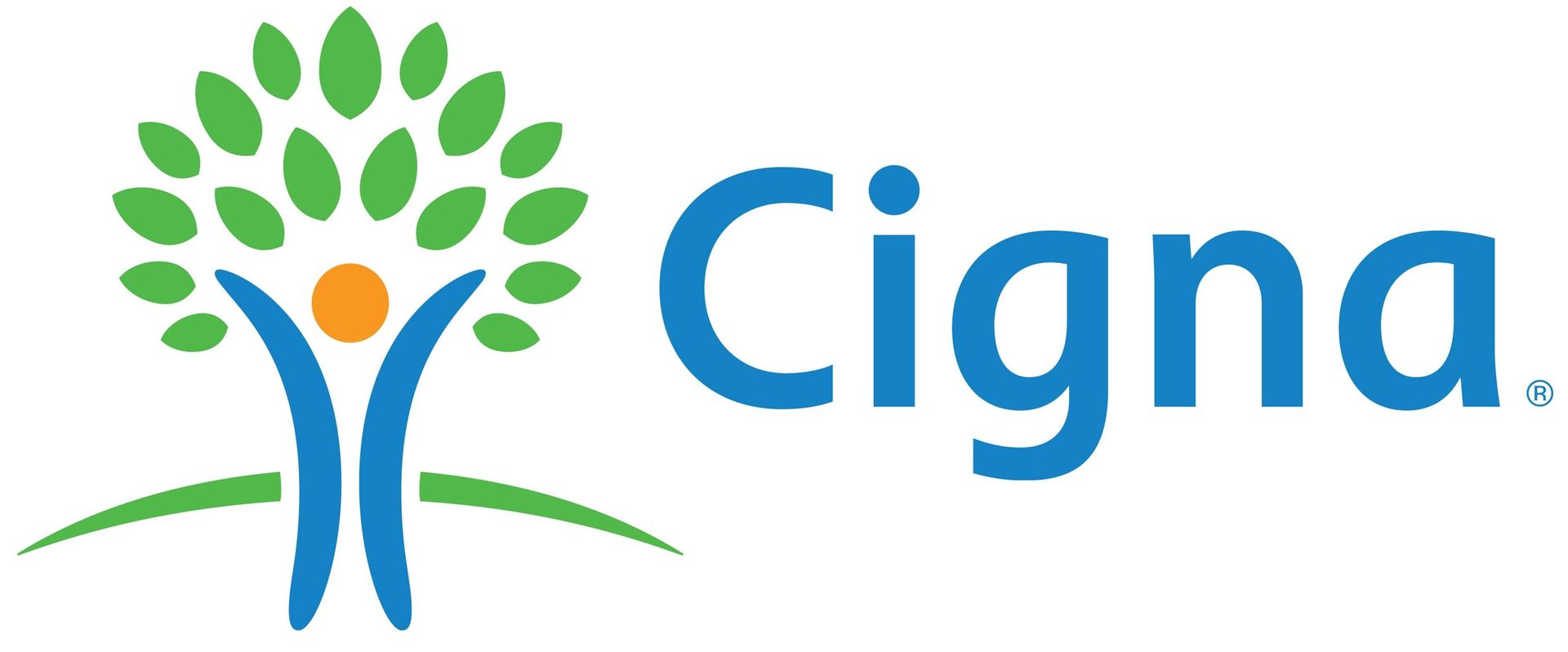 Black Insurance Company logo on a transparent background