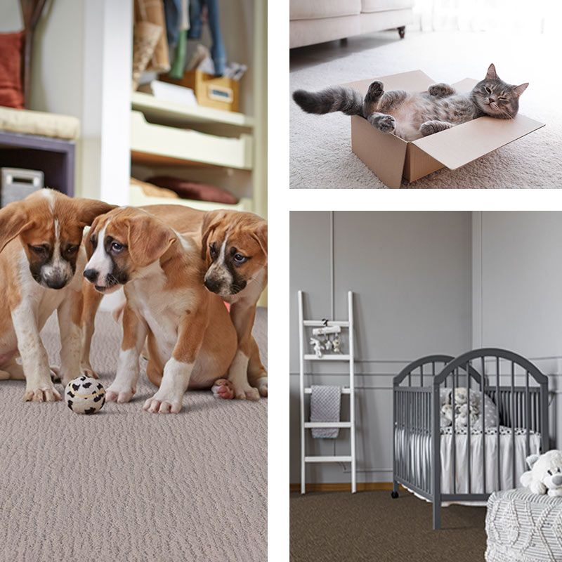 Flooring Companies Near Me