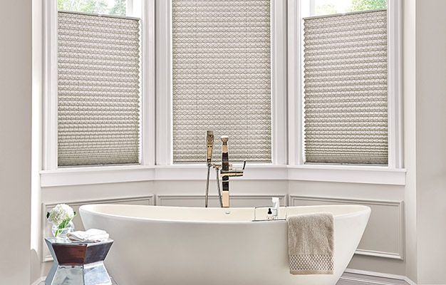 Pleated Shades
