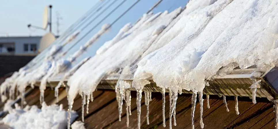 winter tips