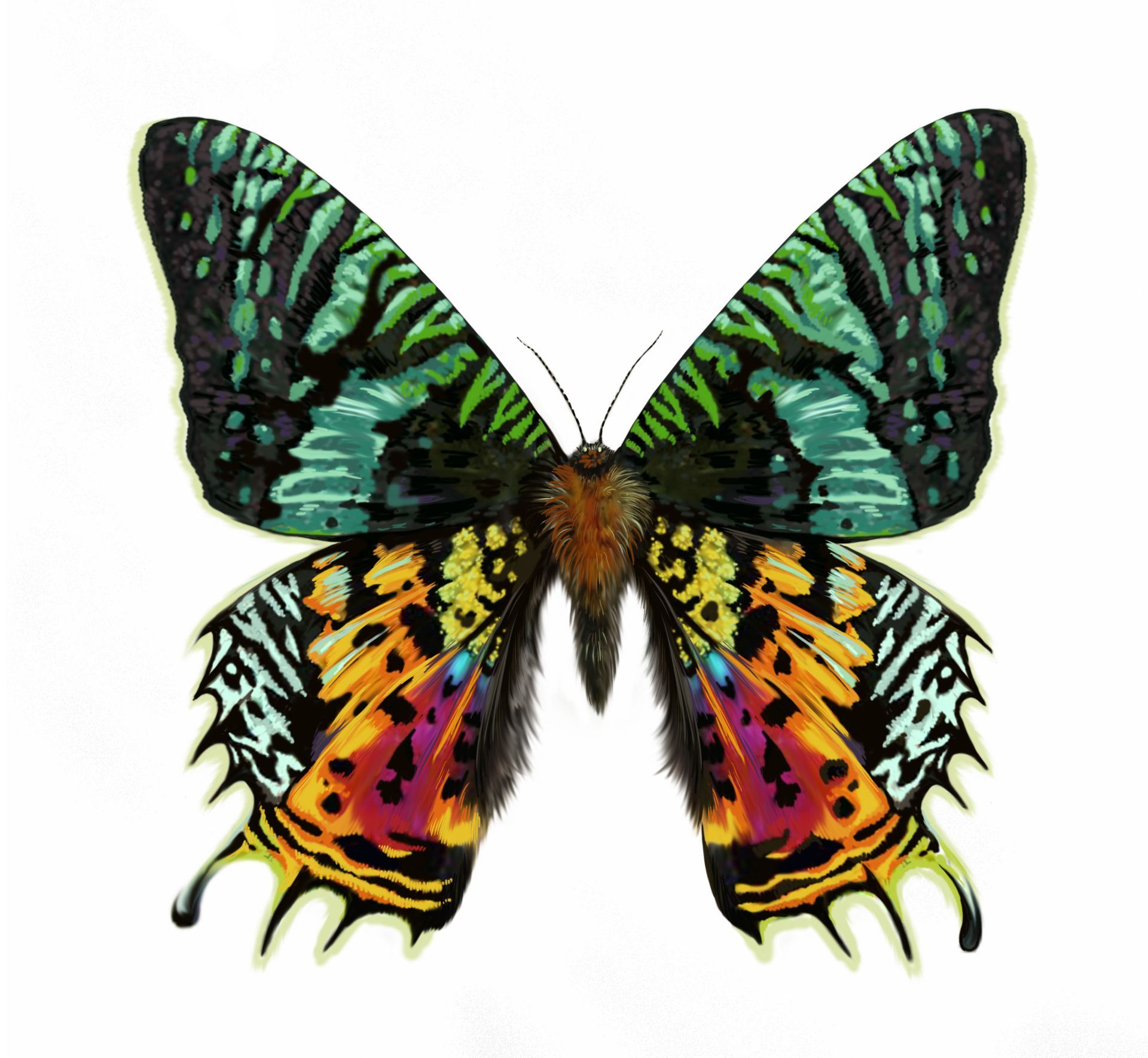 Entomology
