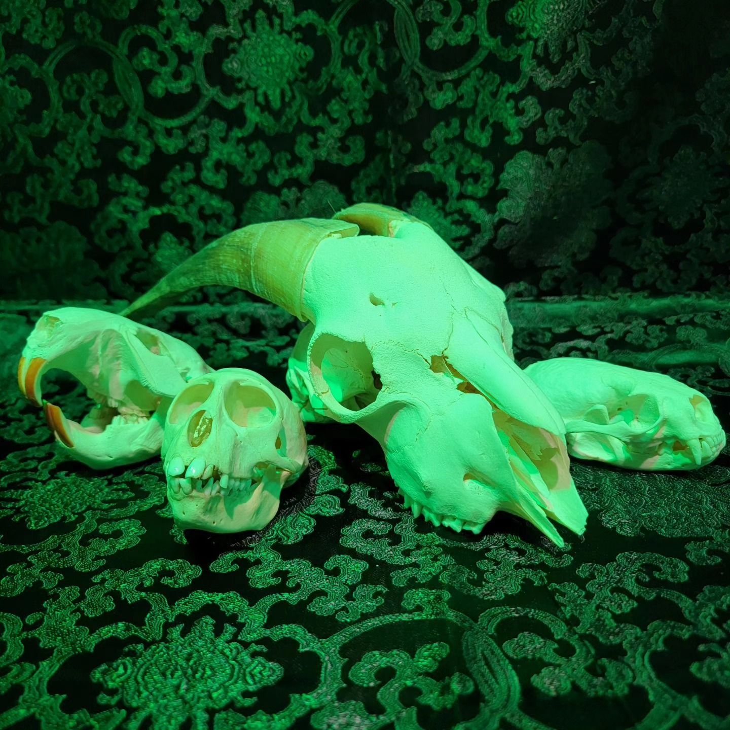 Skulls and Bones